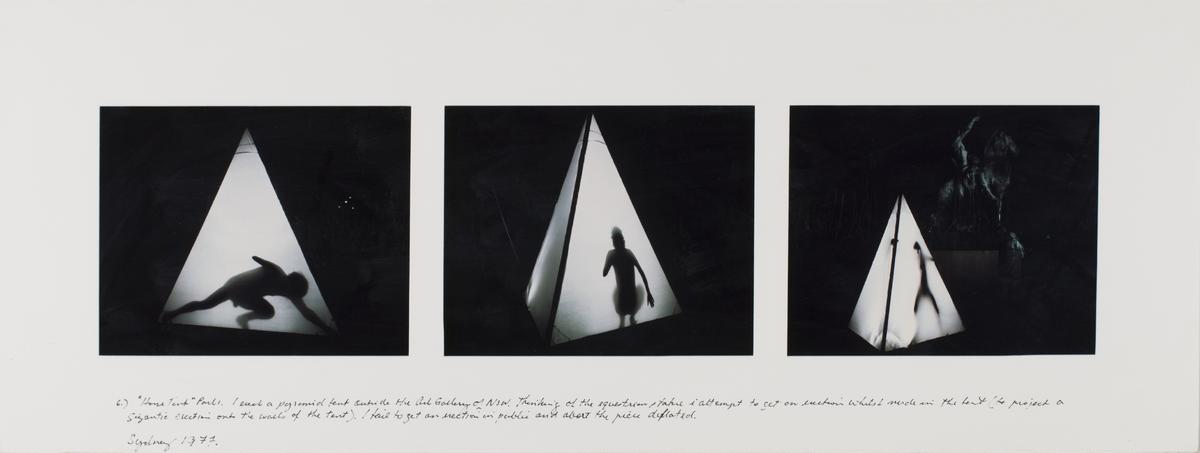 Horse Tent Rules And Displacement 6 Art Gallery WA