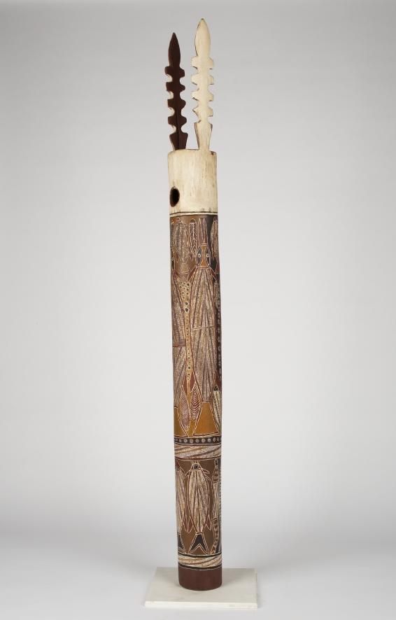 Bone coffin (Swordfish) Art Gallery WA